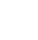 章鱼网络